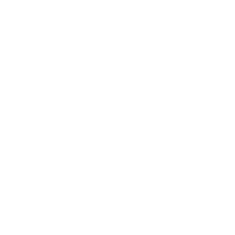 Ongoing Support