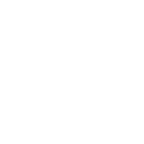 Ongoing Support